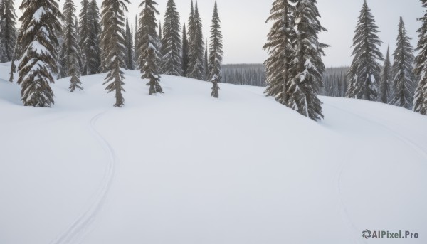 The wonder of a female in a picturesque snowy outdoors