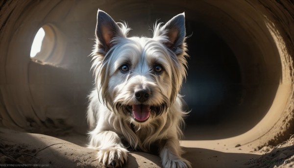 A dog framed by the beauty of a lush dynamic scene