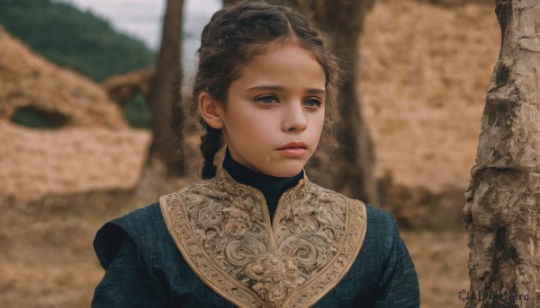 1girl,solo,brown hair,black hair,dress,brown eyes,closed mouth,upper body,braid,outdoors,day,blurry,tree,lips,looking to the side,depth of field,blurry background,blue dress,freckles,realistic,looking away,expressionless,portrait