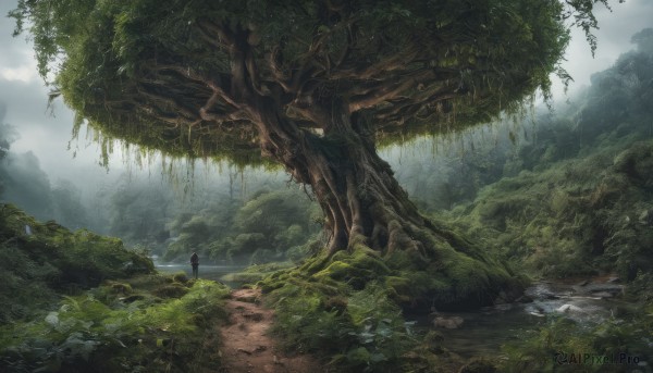 A landscape captured in a enchanting outdoors