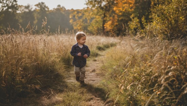 solo,short hair,blonde hair,brown hair,shirt,long sleeves,1boy,closed mouth,standing,full body,closed eyes,male focus,boots,outdoors,day,collared shirt,pants,blurry,tree,depth of field,brown footwear,grass,blue shirt,child,nature,scenery,walking,male child,grey pants,field,wide shot,holding,flower,sweater,from above,own hands together