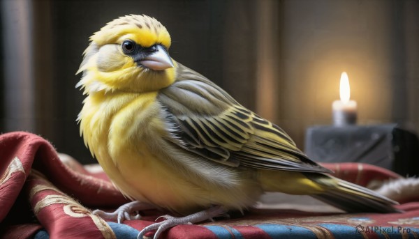 HQ,looking at viewer,closed mouth,lying,indoors,blurry,black eyes,no humans,bed,depth of field,blurry background,bird,animal,feathers,curtains,realistic,candle,animal focus,beak,rug,solo,fire