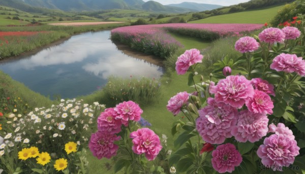 flower,outdoors,sky,day,cloud,water,tree,no humans,grass,plant,white flower,red flower,nature,scenery,pink flower,reflection,mountain,yellow flower,purple flower,field,river,flower field,landscape,lake,signature,blue sky,leaf,reflective water