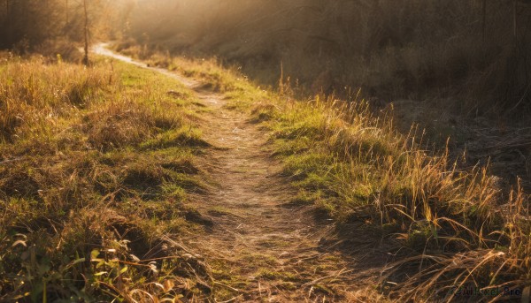 outdoors,water,tree,no humans,sunlight,grass,plant,ground vehicle,nature,scenery,forest,light rays,road,field,river,bicycle,landscape,sky