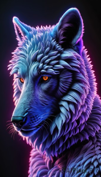 solo,looking at viewer,simple background,closed mouth,yellow eyes,from side,orange eyes,no humans,animal,slit pupils,black background,portrait,furry,purple background,furry male,animal focus,whiskers,profile,colored sclera,realistic,wolf