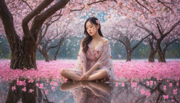 The allure of a female in a inviting outdoors