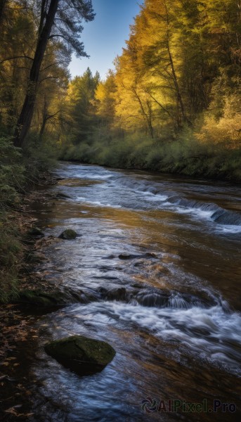 outdoors,sky,day,water,tree,blue sky,no humans,grass,nature,scenery,forest,rock,autumn leaves,river,autumn,stream,cloud,signature,leaf,landscape