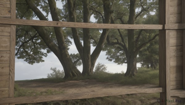 The charm of a unique subject in a tranquil day