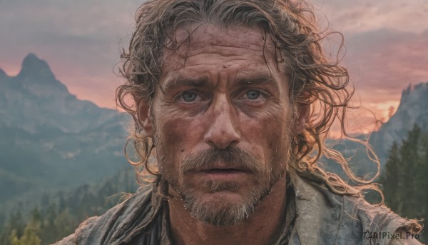 solo,long hair,looking at viewer,blue eyes,blonde hair,brown hair,shirt,1boy,closed mouth,male focus,outdoors,sky,tree,grey eyes,facial hair,scar,messy hair,portrait,nature,beard,forest,mountain,realistic,mustache,cloud,mole,blurry,lips,cloudy sky,scar on face,sunset,mountainous horizon,wrinkled skin