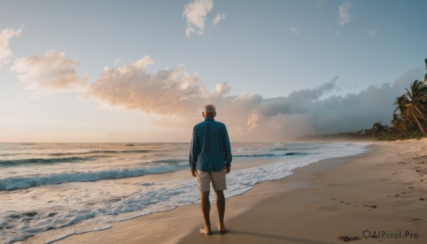 solo,short hair,brown hair,shirt,black hair,long sleeves,1boy,standing,jacket,male focus,outdoors,sky,shorts,barefoot,day,pants,cloud,water,from behind,tree,shadow,ocean,beach,cloudy sky,blue jacket,scenery,walking,white shorts,white pants,sand,palm tree,arms at sides,horizon,wide shot,waves,shore,footprints,blue sky,sunset,facing away