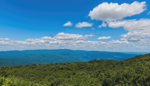 outdoors,sky,day,cloud,tree,blue sky,no humans,cloudy sky,grass,nature,scenery,forest,mountain,field,landscape,mountainous horizon,hill,water,ocean,horizon