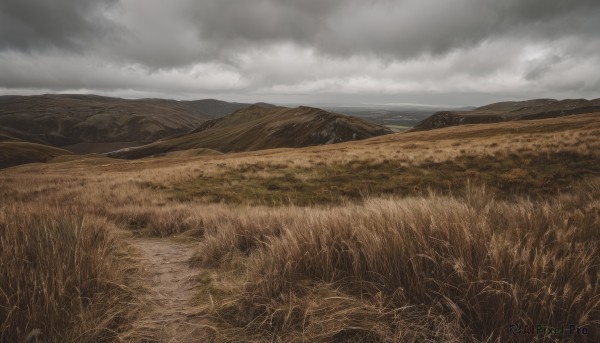 outdoors,sky,day,cloud,tree,no humans,cloudy sky,grass,nature,scenery,mountain,horizon,field,landscape,mountainous horizon,grey sky,overcast,realistic,hill