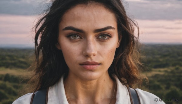 1girl,solo,long hair,looking at viewer,brown hair,shirt,black hair,brown eyes,closed mouth,white shirt,outdoors,sky,day,collared shirt,blurry,lips,depth of field,blurry background,wavy hair,suspenders,portrait,freckles,realistic,nose,jewelry,necklace,wind,messy hair,close-up,forehead,dirty,dirty face