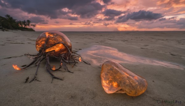 outdoors,sky,cloud,water,tree,no humans,ocean,beach,cloudy sky,bug,scenery,sunset,sand,horizon,mushroom,crab,animal,palm tree,footprints,beetle