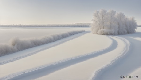 HQ,monochrome,greyscale,outdoors,sky,day,tree,no humans,nature,scenery,snow,forest,winter,bare tree,cloud,water,blue sky,ocean,beach,realistic,sand,road,landscape,fog,shore