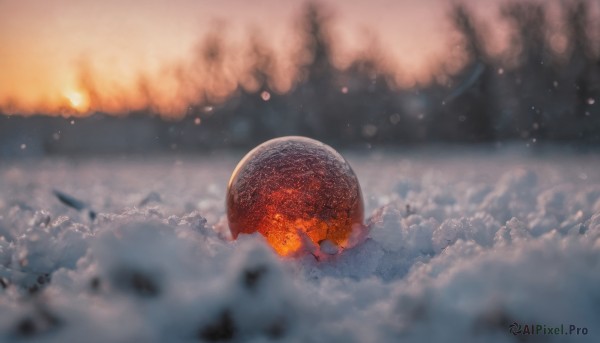 A unique subject framed by the beauty of a majestic fiery scenery
