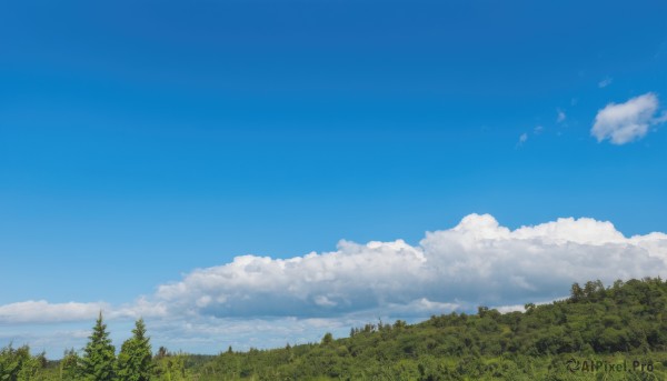 outdoors,sky,day,cloud,tree,blue sky,no humans,cloudy sky,grass,nature,scenery,forest,landscape,field