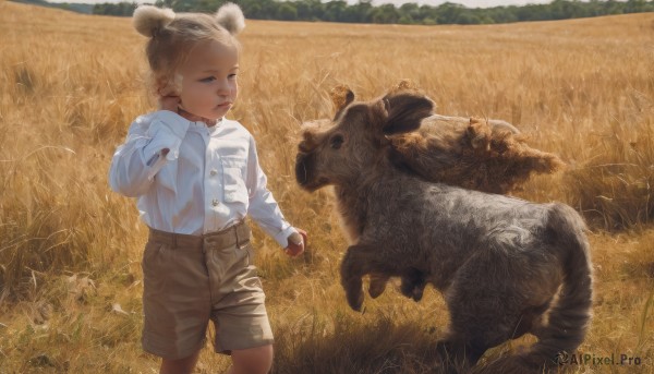 solo,short hair,blonde hair,brown hair,shirt,long sleeves,1boy,holding,animal ears,standing,white shirt,male focus,outdoors,food,shorts,day,collared shirt,hair bun,double bun,buttons,fruit,animal,grass,child,scenery,pocket,realistic,apple,male child,field,holding fruit,bear ears,brown shorts,bear,1girl,blue eyes,hand up,feet out of frame,holding food,blue shirt,female child,shirt tucked in