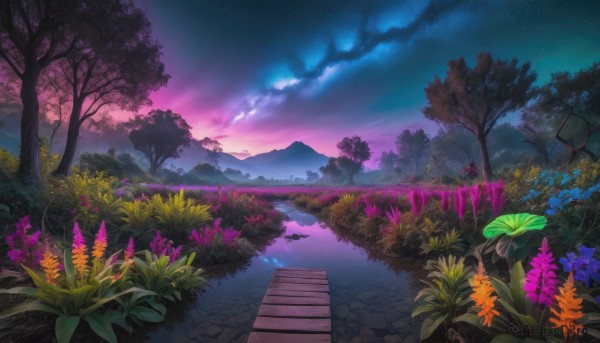 flower, outdoors, sky, cloud, water, tree, no humans, night, grass, plant, star (sky), nature, night sky, scenery, starry sky, reflection, sunset, mountain, road, lake, path, purple sky