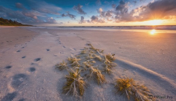 outdoors, sky, cloud, water, tree, dutch angle, no humans, ocean, beach, cloudy sky, scenery, sunset, sand, sun, horizon, shore, footprints