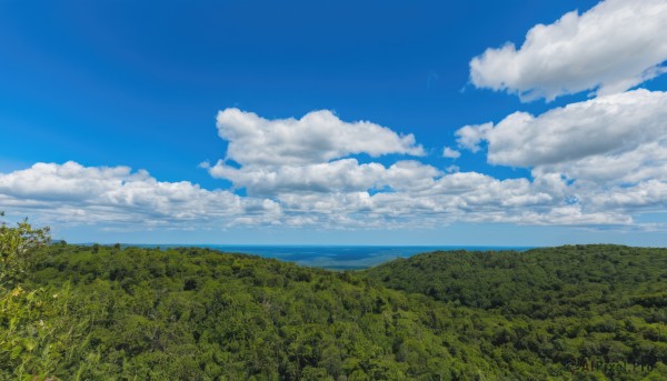 outdoors,sky,day,cloud,water,tree,blue sky,no humans,ocean,cloudy sky,grass,plant,nature,scenery,forest,horizon,field,summer,landscape