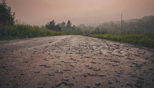 outdoors,sky,tree,no humans,grass,nature,scenery,forest,sunset,road,lamppost,river,landscape,bush