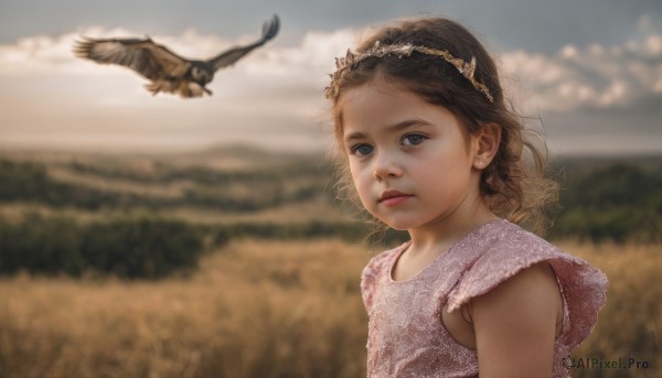 1girl,solo,looking at viewer,short hair,blue eyes,brown hair,dress,jewelry,upper body,earrings,outdoors,sky,sleeveless,day,cloud,blurry,lips,depth of field,blurry background,bird,cloudy sky,child,pink dress,curly hair,realistic,female child,field,brown eyes,nature,head wreath