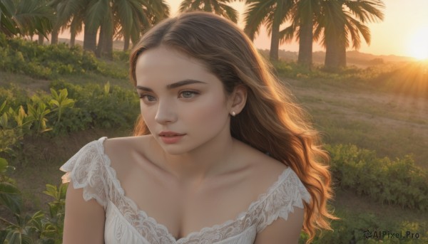 1girl,solo,long hair,breasts,blue eyes,brown hair,dress,cleavage,jewelry,medium breasts,collarbone,upper body,earrings,outdoors,parted lips,white dress,tree,lips,wavy hair,sunlight,plant,nature,sunset,realistic,palm tree,sun,bush,looking at viewer,teeth,grass,lace