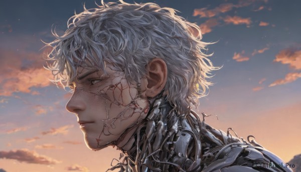 solo,short hair,1boy,closed mouth,white hair,grey hair,male focus,outdoors,sky,cloud,from side,grey eyes,profile,scar,cloudy sky,messy hair,portrait,science fiction,sunset,android,mechanical arms,cyborg,damaged,crack,mechanical parts,upper body,black eyes,lips,scar on face,realistic