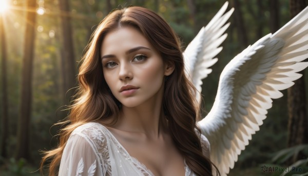 1girl,solo,long hair,breasts,looking at viewer,brown hair,dress,cleavage,brown eyes,medium breasts,collarbone,upper body,outdoors,parted lips,wings,day,white dress,blurry,tree,lips,depth of field,blurry background,wavy hair,sunlight,nature,feathered wings,lens flare,forest,angel wings,realistic,nose,white wings,angel,light rays,bokeh