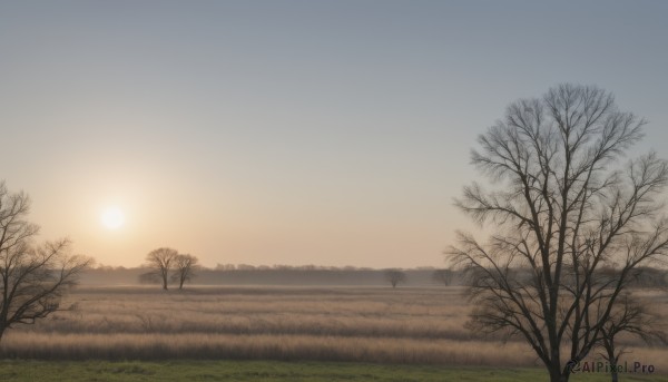 outdoors,sky,cloud,tree,blue sky,no humans,grass,nature,scenery,sunset,mountain,sun,bare tree,landscape,gradient sky,orange sky,sunrise,hill,monochrome,horizon,field,fog