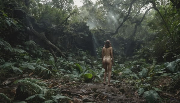 1girl,solo,long hair,brown hair,black hair,standing,ass,nude,outdoors,barefoot,day,dark skin,water,from behind,dark-skinned female,tree,completely nude,leaf,back,sunlight,plant,nature,scenery,wading,forest,light rays,facing away,sunbeam,dappled sunlight,ponytail,rock,moss,nudist