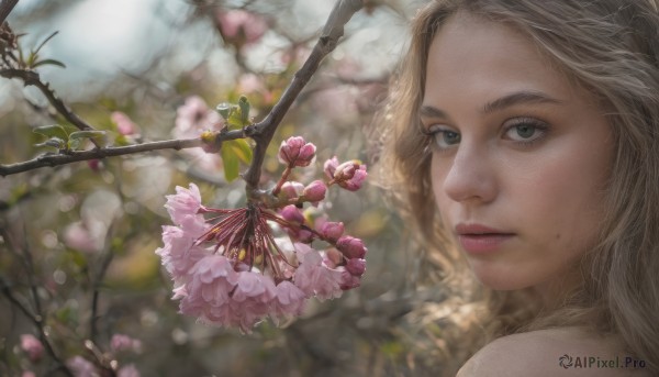 1girl, solo, long hair, looking at viewer, blonde hair, flower, looking back, mole, blurry, tree, lips, depth of field, blurry background, freckles, realistic, nose, branch