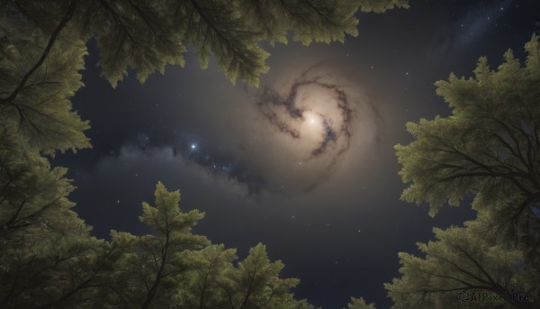 The wonder of a unique subject in a peaceful outdoors
