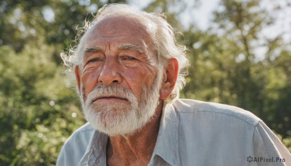 solo,looking at viewer,blue eyes,shirt,1boy,closed mouth,white shirt,upper body,white hair,male focus,outdoors,day,collared shirt,blurry,depth of field,blurry background,facial hair,half-closed eyes,portrait,beard,realistic,mustache,manly,old,old man,wrinkled skin,lips,scar,sunlight,wing collar,scar on face,nose,bokeh