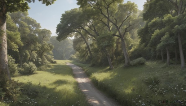 Day brought to life with a serene landscape