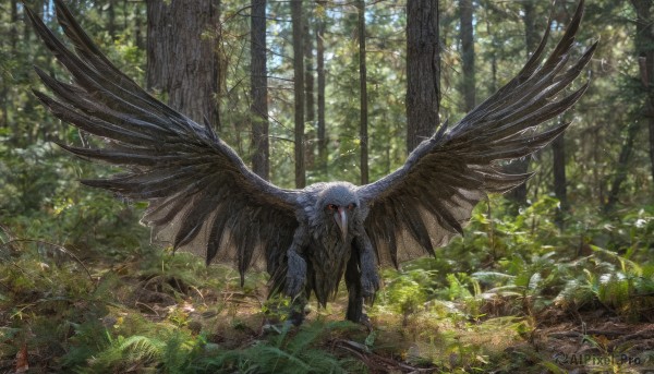 solo,red eyes,outdoors,wings,day,tree,no humans,glowing,bird,sunlight,grass,plant,nature,scenery,glowing eyes,forest,monster,owl,talons,spread wings,moss,looking at viewer,feathers,fantasy