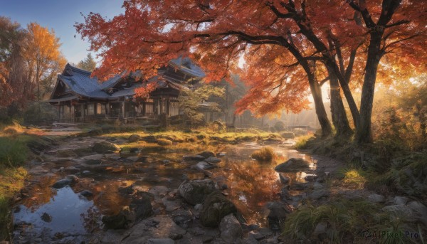 outdoors,sky,day,water,tree,blue sky,no humans,leaf,umbrella,sunlight,grass,building,nature,scenery,forest,reflection,rock,road,autumn leaves,maple leaf,architecture,house,east asian architecture,river,autumn,path,stone,pond,stream,stone lantern