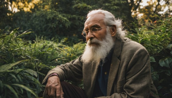 solo,shirt,long sleeves,1boy,sitting,closed mouth,jacket,white hair,male focus,outdoors,necktie,glasses,day,pants,blurry,coat,depth of field,blurry background,facial hair,sunglasses,blue shirt,plant,nature,beard,knee up,realistic,round eyewear,mustache,hand on own knee,old,old man,looking at viewer,upper body,lips,black shirt,leaf,black pants,thick eyebrows,grass,brown jacket,nose,brown pants,brown coat,wrinkled skin