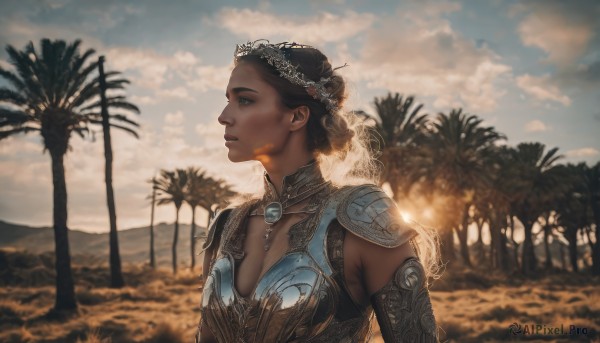 1girl,solo,long hair,breasts,short hair,blue eyes,brown hair,black hair,hair ornament,cleavage,jewelry,medium breasts,upper body,outdoors,parted lips,sky,day,cloud,dark skin,armor,blurry,dark-skinned female,tree,lips,profile,blurry background,looking away,cloudy sky,fire,shoulder armor,gem,nature,pauldrons,mountain,realistic,nose,fantasy,looking afar,necklace,hair bun,from side,sunlight,single hair bun,crown,backlighting,palm tree