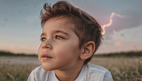 solo,short hair,brown hair,shirt,1boy,brown eyes,closed mouth,white shirt,upper body,male focus,outdoors,sky,day,cloud,signature,blurry,lips,looking to the side,blurry background,looking away,grass,child,portrait,realistic,nose,male child,looking afar,field,looking up,smoke