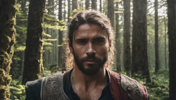 solo,looking at viewer,short hair,brown hair,black hair,1boy,brown eyes,jewelry,closed mouth,upper body,male focus,outdoors,day,necklace,armor,blurry,black eyes,tree,blurry background,facial hair,portrait,nature,beard,forest,realistic,manly,shirt,scar,sunlight,backlighting,dappled sunlight