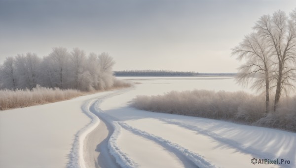 HQ,outdoors,sky,day,cloud,water,tree,no humans,shadow,grass,nature,scenery,forest,reflection,road,bare tree,river,landscape,monochrome,fog,grey sky,path