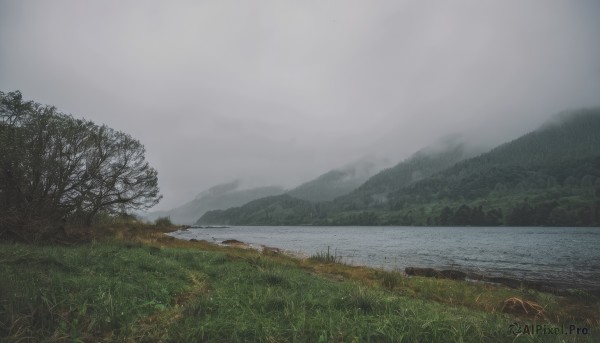 The wonder of a landscape in a picturesque day