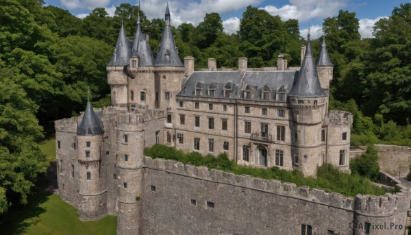 outdoors,sky,day,cloud,tree,blue sky,no humans,cloudy sky,grass,building,nature,scenery,forest,fantasy,bush,castle,tower,path,landscape