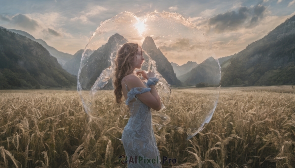 1girl,solo,long hair,blonde hair,brown hair,dress,holding,bare shoulders,standing,closed eyes,flower,outdoors,sky,cloud,off shoulder,white dress,from side,see-through,profile,blue dress,cloudy sky,grass,scenery,mountain,off-shoulder dress,transparent,field,mountainous horizon,braid,sunlight,nature,sunset,sun,landscape