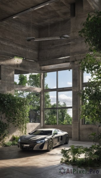 outdoors,sky,day,cloud,indoors,tree,blue sky,no humans,window,shadow,plant,ground vehicle,scenery,motor vehicle,car,road,vehicle focus,sports car,overgrown,broken window