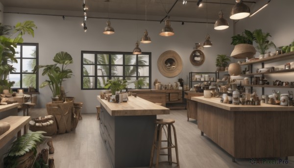 sky,day,indoors,tree,cup,no humans,window,chair,table,sunlight,bottle,plant,scenery,plate,wooden floor,clock,potted plant,lamp,stool,shelf,jar,sink,counter,ceiling light,cabinet,shoes