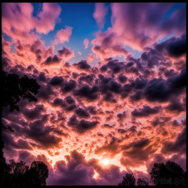 outdoors,sky,day,cloud,tree,blue sky,no humans,border,sunlight,cloudy sky,nature,scenery,forest,sunset,sun,black border,light rays