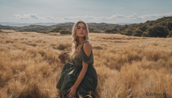 1girl,solo,long hair,looking at viewer,blue eyes,blonde hair,dress,bare shoulders,sitting,closed mouth,outdoors,sky,day,cloud,blue sky,lips,grass,scenery,mountain,realistic,shoulder cutout,field,mountainous horizon,short sleeves,bag,black dress,nature,green dress